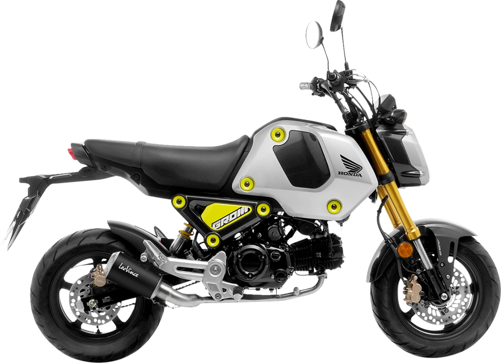 LEOVINCE LV-10 Exhaust System