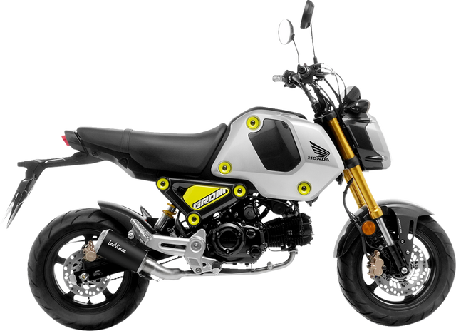 LeoVince LV-10 Exhaust System