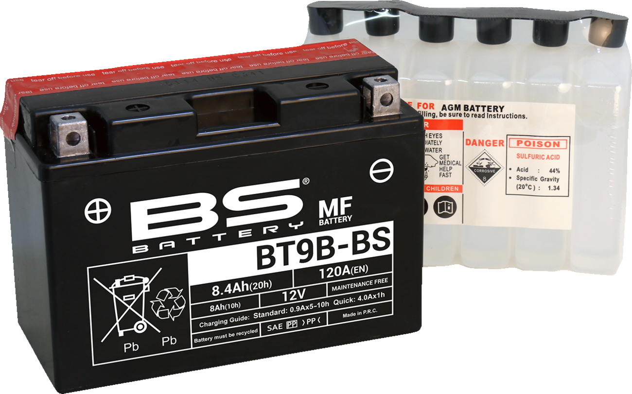 BS BATTERY Maintenance-Free Battery