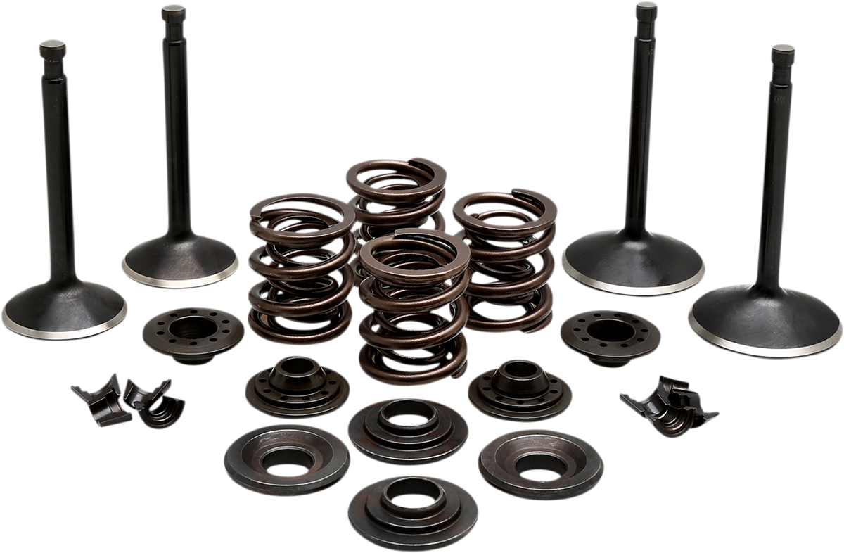 KIBBLEWHITE Engine Valve Kit