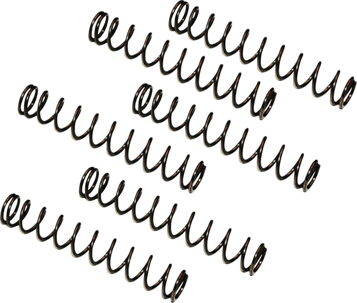 FEULING PARTS Camplate Pressure Relief Spring - Twin Cam Engine Camplates '99-'17 0925-0300
