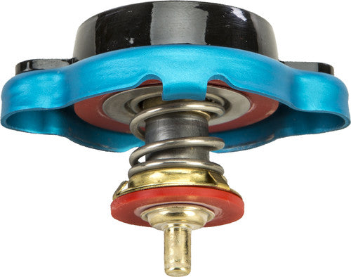 FIRE POWER Radiator Cap w/Temperature Gauge - 012314524