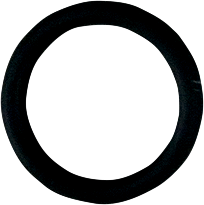 FUEL-TOOL Replacement O-Ring for Fuel Check Valve