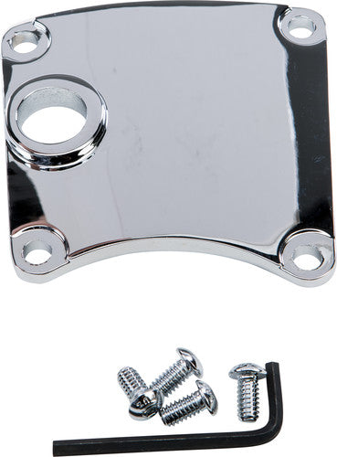 HARDDRIVE Inspection Cover - 210245