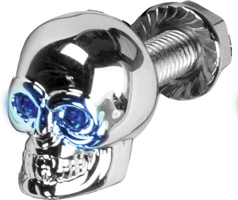 HARDDRIVE Lighted Skull License Plate Screw - H040079