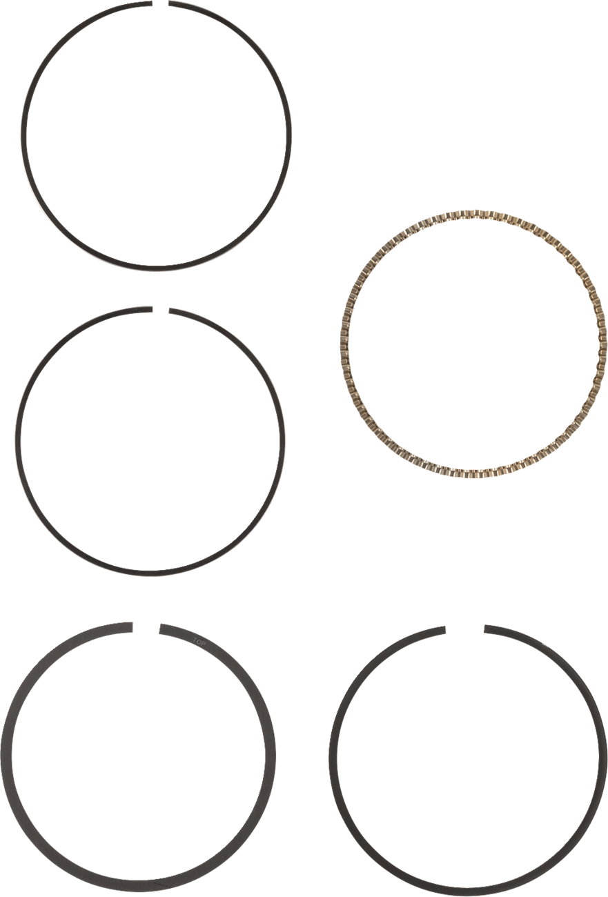 HASTINGS Replacement Piston Rings