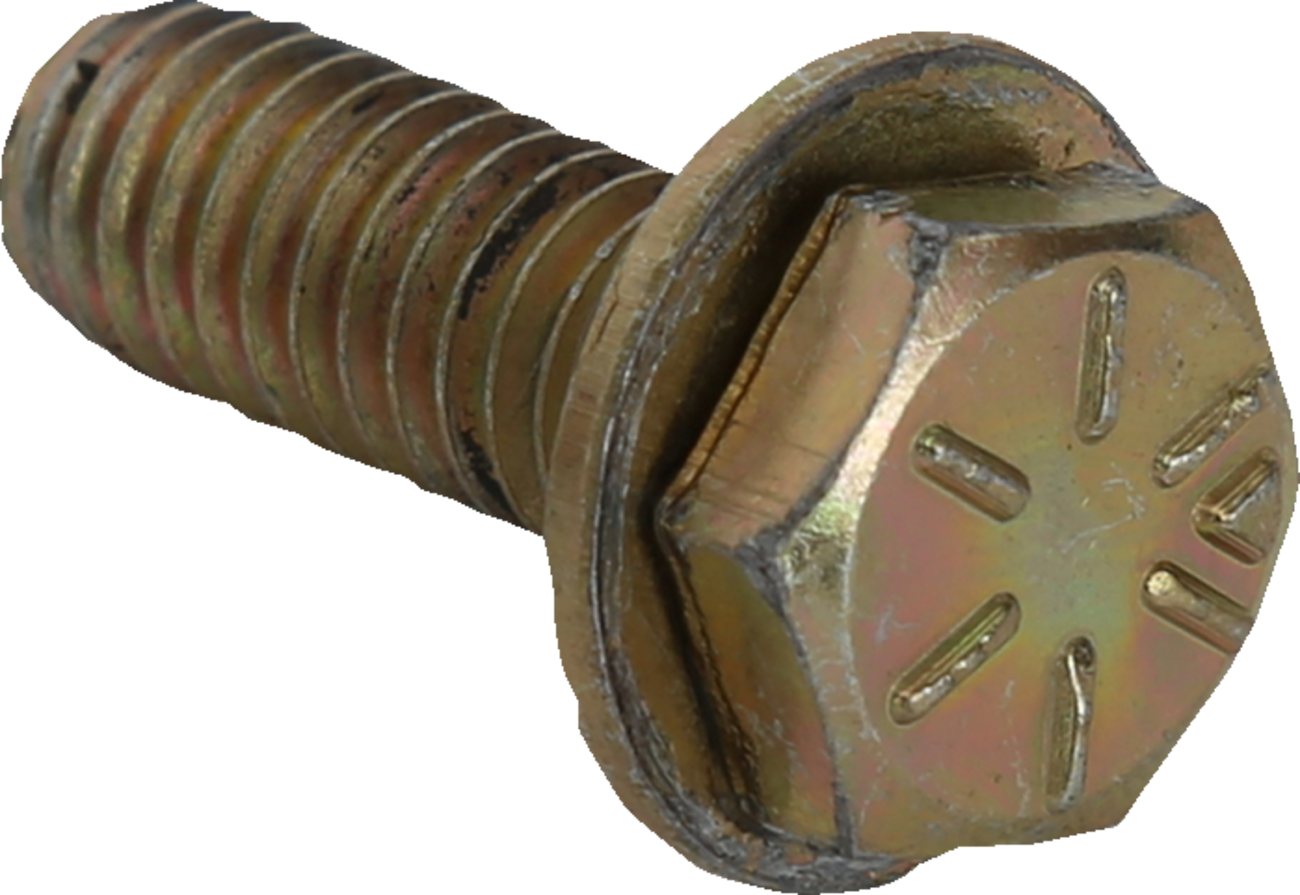 HIGH LIFTER Beadlock Bolt - Gold / 5/16" / Each 0223-0246