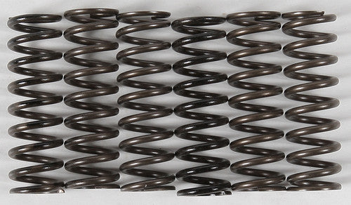 HINSON Clutch Springs - CS216-6-0315