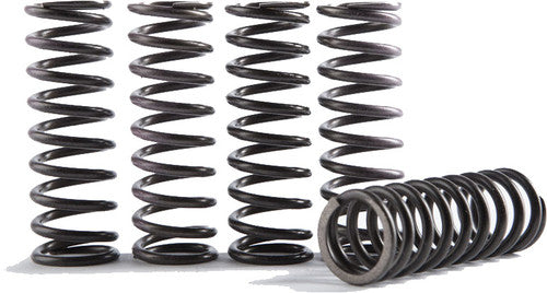 HINSON Clutch Springs - CS290-4-0710