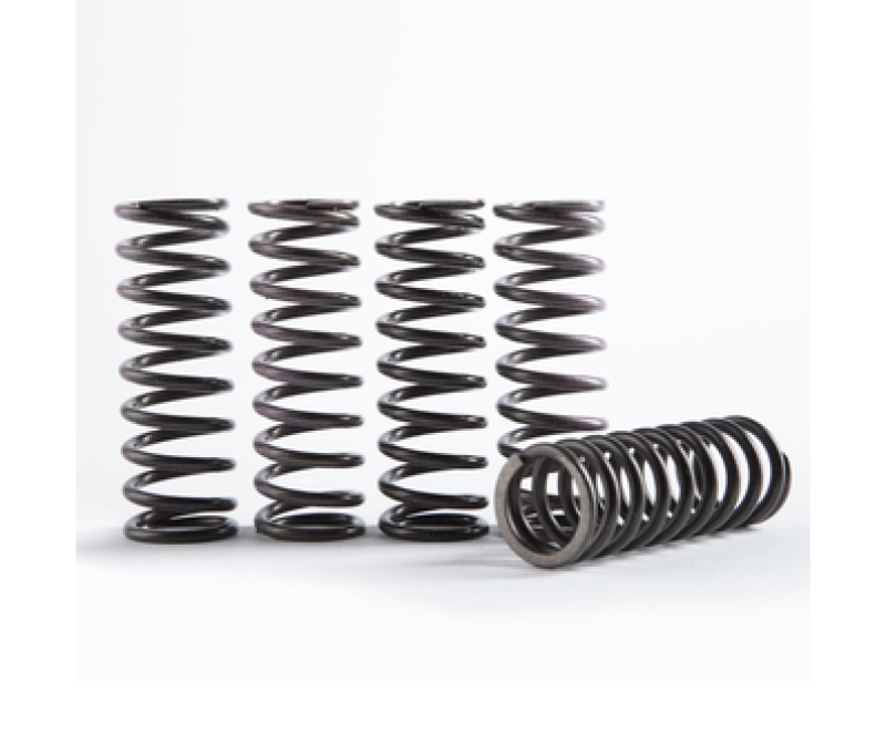 Hinson Clutch 2009-2013 Yamaha YZ250F Hi-Temp Clutch Spring Kit - Set of 5 - CS341-5-0311