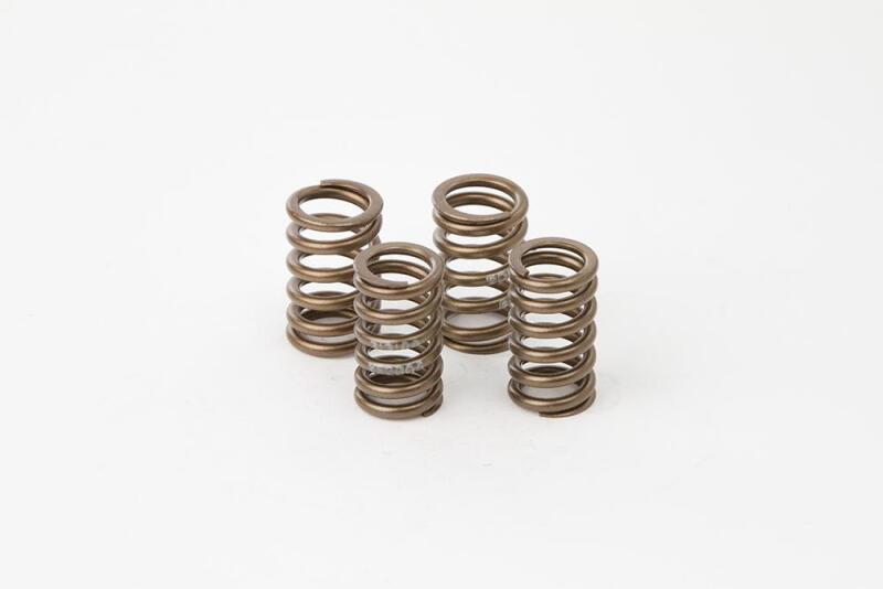 Hot Cams Valve Spring Kit, Boxed, ea, 1 - VSK2006