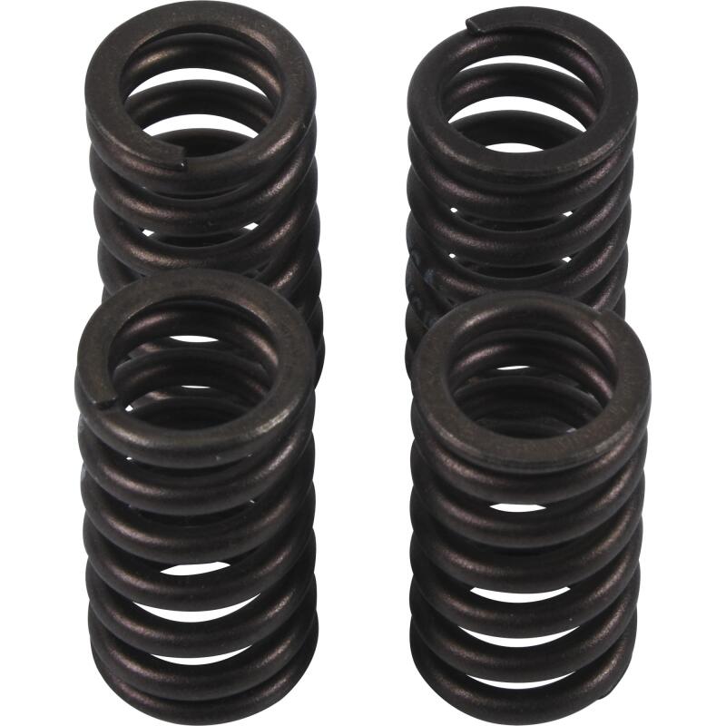 Hot Cams Valve Spring Kit, ea, 1 - VSK2002