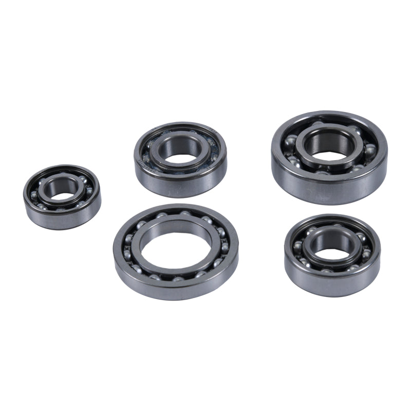 Hot Rods 2005-2009/2011 TRX 500 FE/2005-2009/2011 TRX 500 FM/2005-2006 TRX 500 TM Transmission Bearing Kit - HR00074