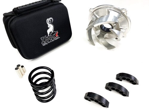 IBEXX Stage 2 Clutch Kit - 11791-2