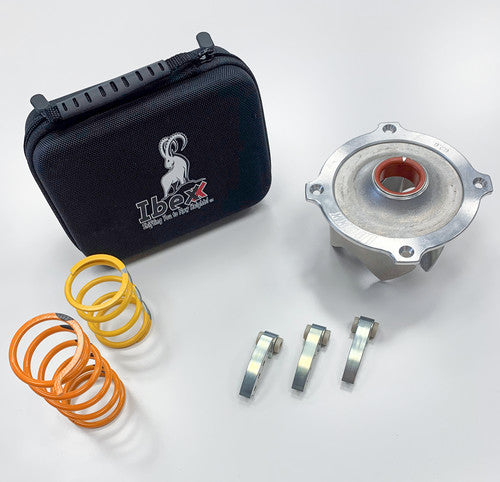 IBEXX Stage 2 Clutch Kit - 12742-21