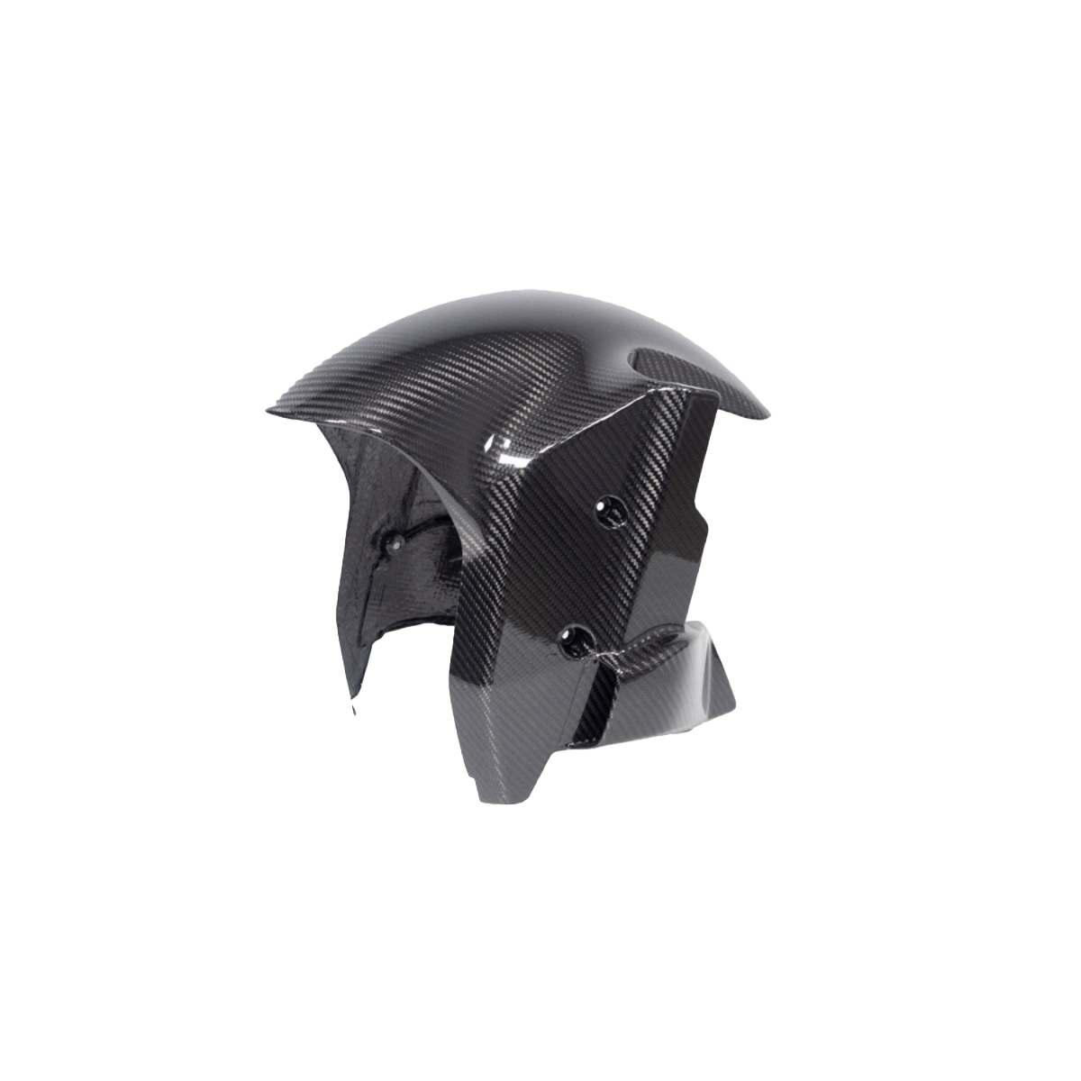 Ilmberger Carbon Fiber Front Fender - BMW M1000R / M1000RR 2020-2026