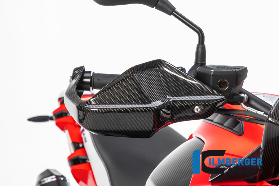 Ilmberger Carbon Fiber Handguard - BMW R1250GS / R1250GS Adventure 2019-2020