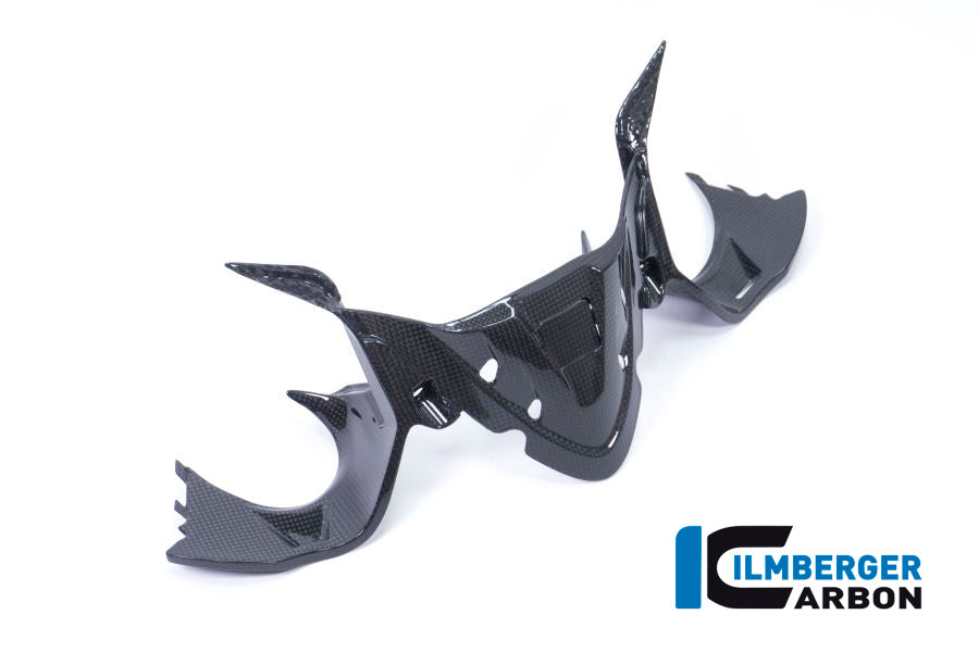 Ilmberger Carbon Fiber Instrument Panel with GPS - Ducati 959 Panigale / 959 Panigale Corse 2015-2019
