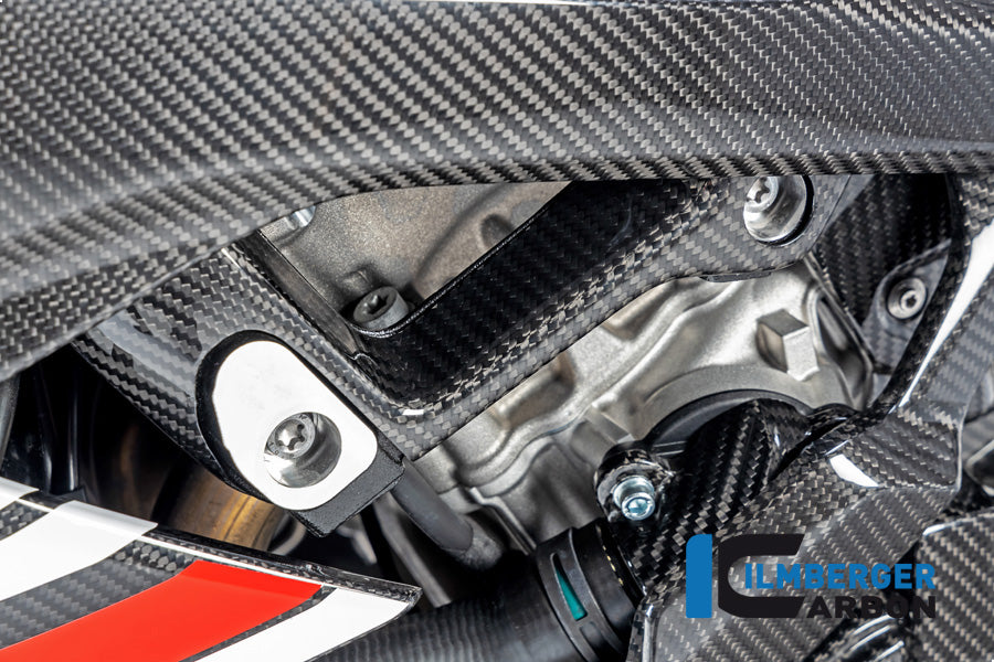 Ilmberger Carbon Fiber Left Side Large Version Frame Cover - BMW M1000RR / S1000RR 2020-2026