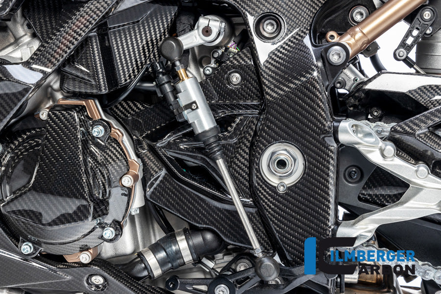 Ilmberger Carbon Fiber Sprocket Cover - BMW M1000R / M1000RR 2020-2026