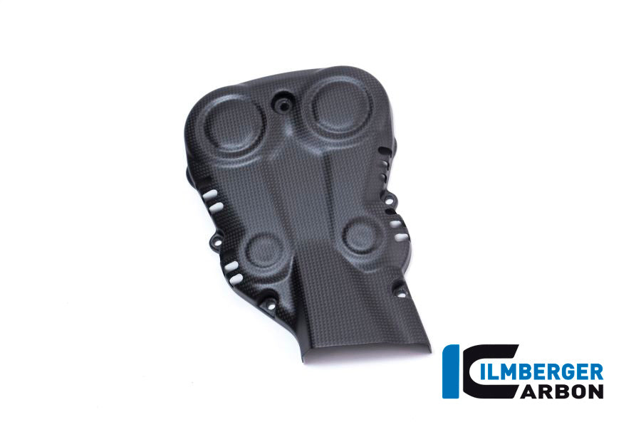 Ilmberger Carbon Fiber Vertical Belt Cover - Ducati Monster 821 / Monster 1200 2014-2021