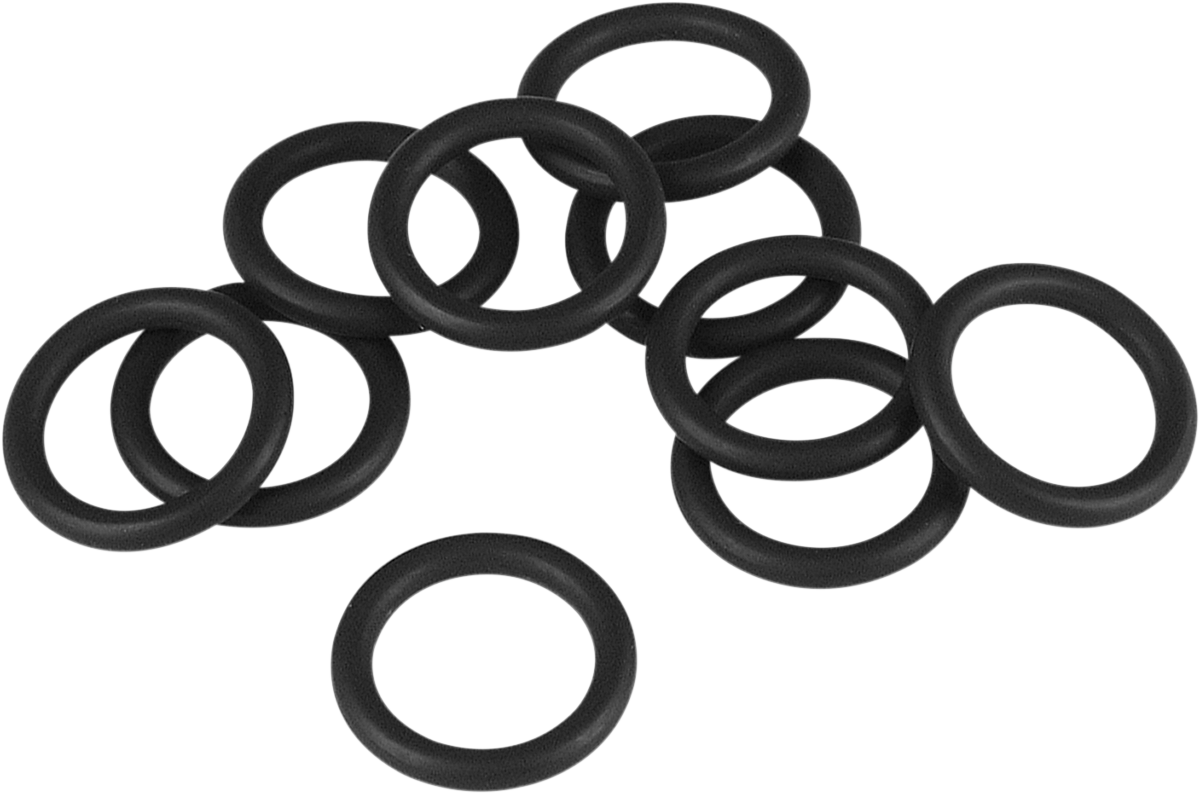 JAMES GASKET Air Cleaner Backplate O-Ring - Air Cleaner Back Plate O-Ring / Twin Cam DS-173209