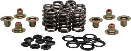 KPMI BEEHIVE VALVE SPRING KIT.550 LIFT M8`17-24 NON VVT - 20-21215