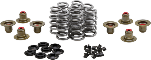 KPMI BEEHIVE VALVE SPRING KIT.640 LIFT M8`17-24 NON VVT - 20-24400
