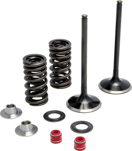KPMI Intake Valve Spring Kit - 30-31210