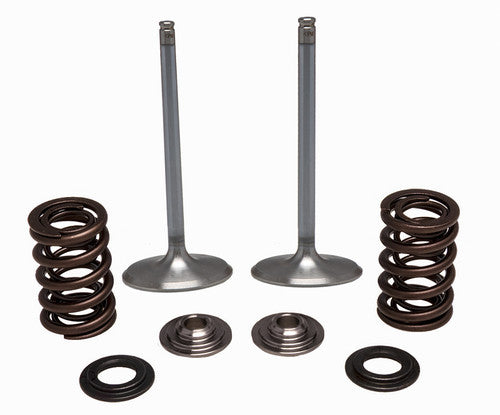 KPMI Intake Valve Spring Kit - 30-32780