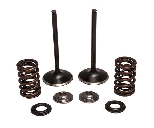KPMI Intake Valve Spring Kit - 30-33200