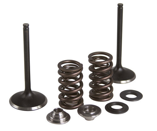 KPMI Intake Valve Spring Kit - 80-82350