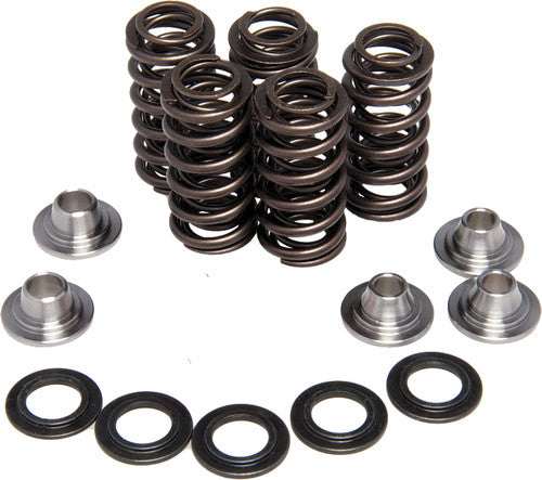 KPMI Racing Valve Spring Kit - 80-80030