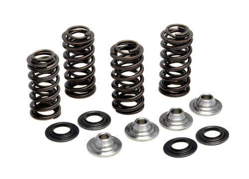 KPMI Racing Valve Spring Kit - 80-82300