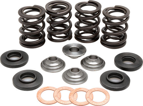 KPMI Racing Valve Spring Kit - 96-96000
