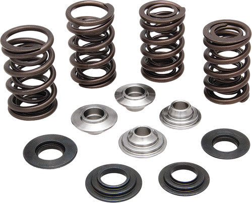 KPMI Valve Spring Kit - 20-20132