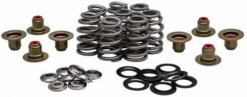 KPMI Valve Spring Kit - 20-21800