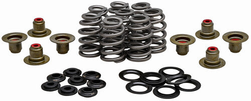 KPMI Valve Spring Kit - 20-21850