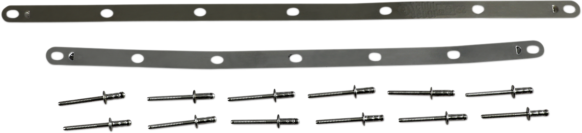 LEOVINCE Strap and Rivet Kit