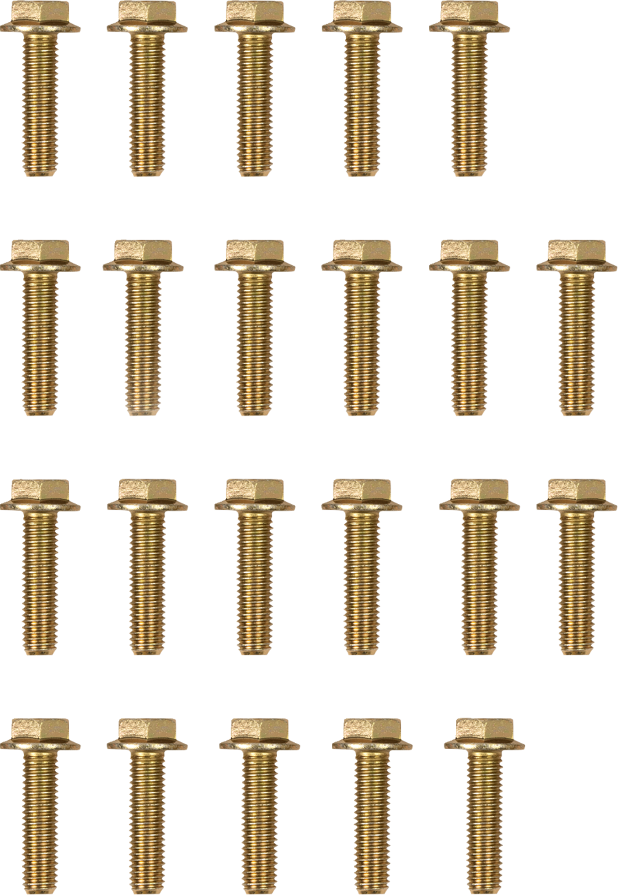 MOOSE OFFROAD Replacement Bolts for 544X Beadlock Ring - Beadlock Bolts / Replacement / 544X / Pack 0223-0310