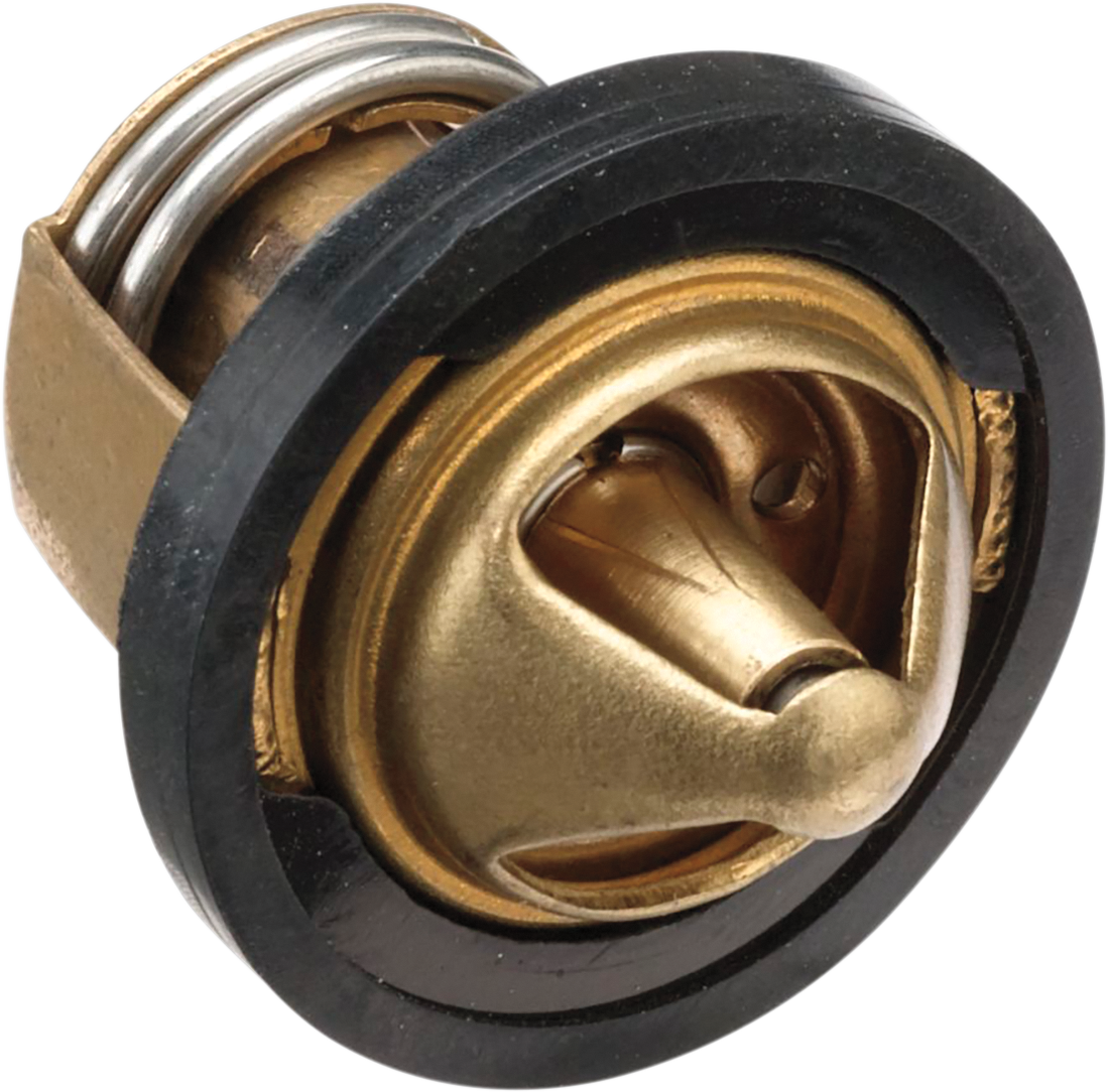 MOOSE OFFROAD Replacement Thermostat - Polaris