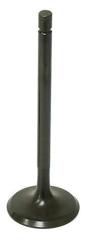 NAMURA Intake Valve - VX-09500I