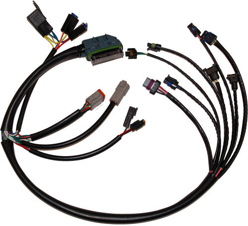 NAMZ CUSTOM CYCLE Ignition/EFI Wiring Harnesses - NHD-70233-02