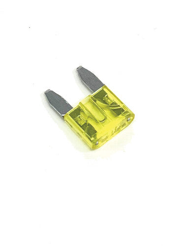 NAMZ CUSTOM CYCLE Mini Fuses - NF-MIN-20