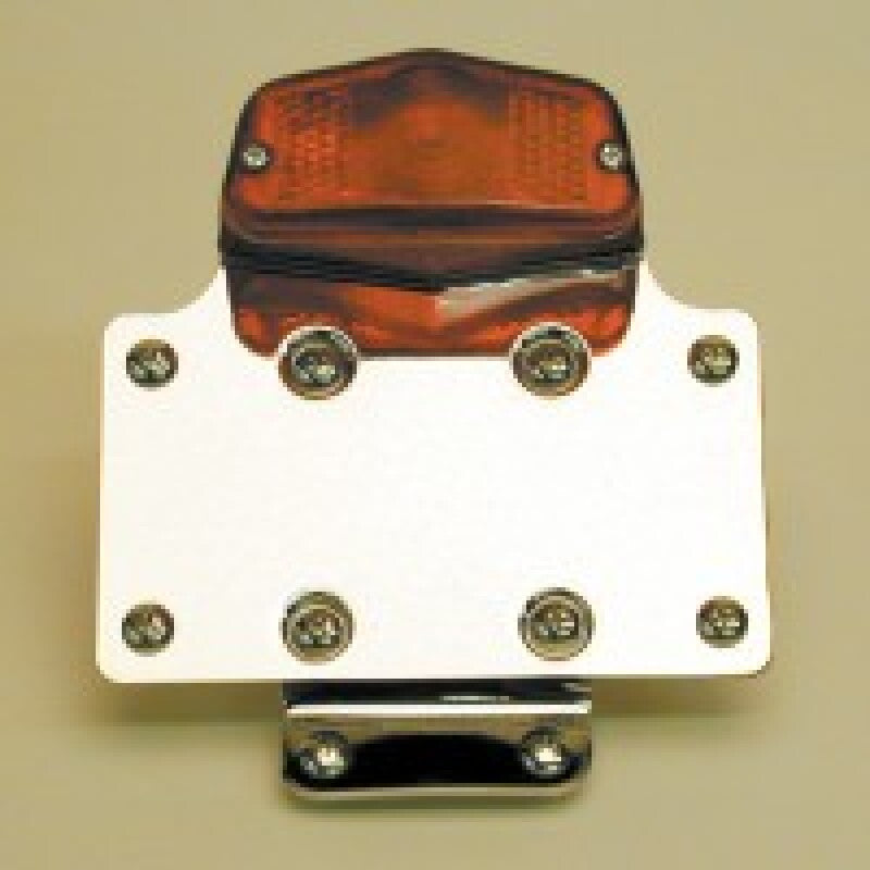 National Cycle Classic Custom Tail Light Fender Mount - N971R12A
