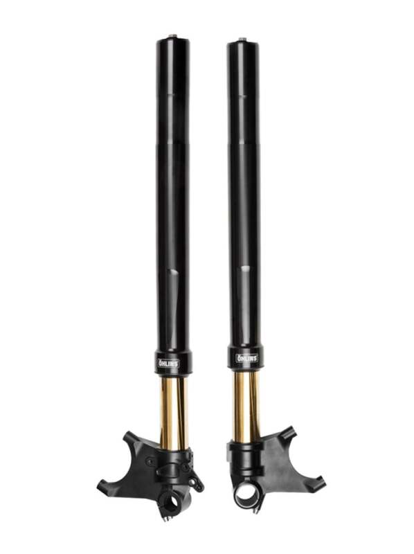 Ohlins 2011-2018 Ducati Diavel Custom 48 Blackline Fork - FGRT 301