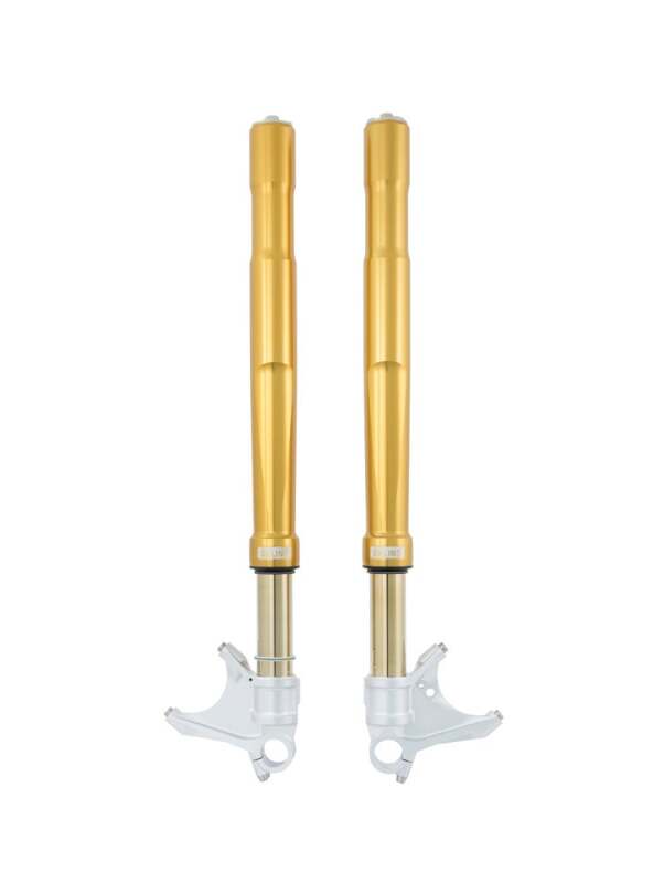 Ohlins 2014-2016 BMW R nineT FGRT 200 Fork - FGRT 218