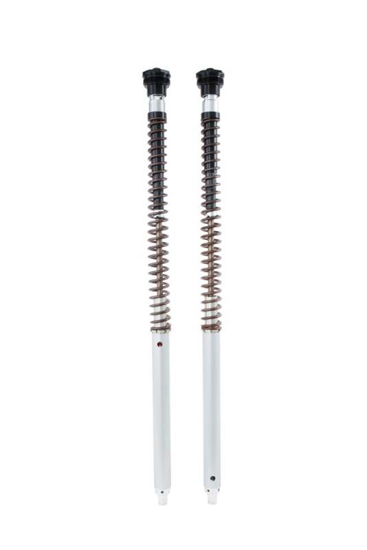 Ohlins 2017-2022 Ducati Scrambler Desert Sled(KYB) NIX 30 Adv Cartridge Kt (Springs/Oil Sold Separately) - FKA 109