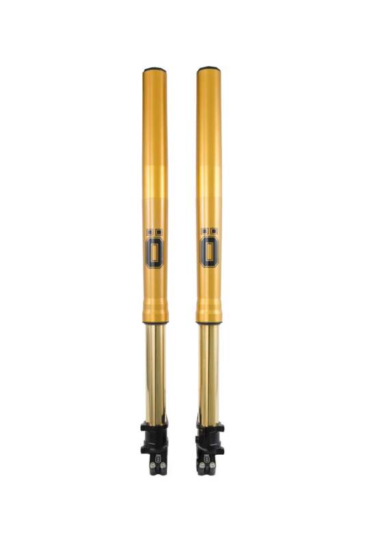 Ohlins 2018-2019 Honda CRF1000L2 Africa Twin Adventure Sports (Showa) Front Fork Adventure - FFHO 102