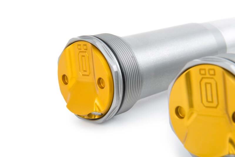 Ohlins 2024-2025 KTM/Husqvarna/Gas Gas TTX 22 Cartridge Kit - FCX 2304